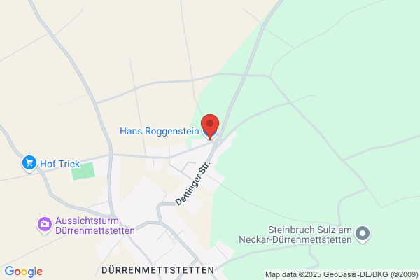 Roggenstein