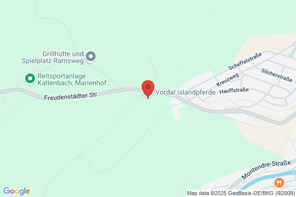 Vordal Islandpferde