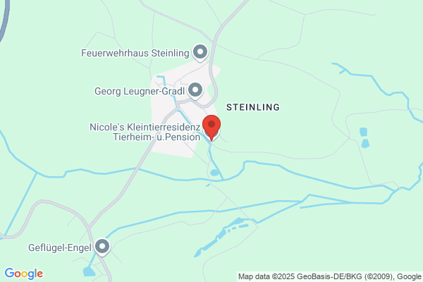 Beratungsdienst Tiere in Not - Tierbetreuung