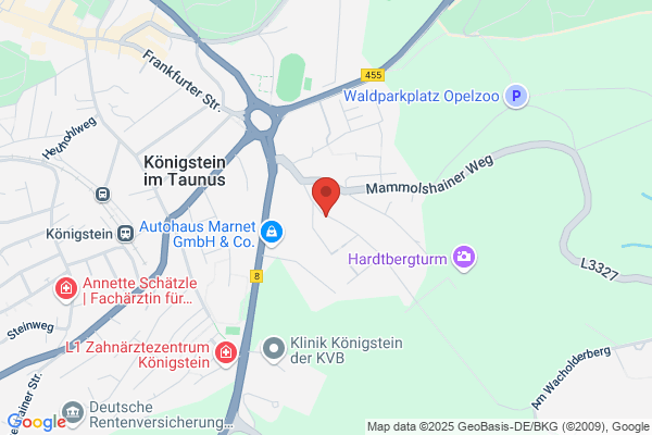 Dipl.-Kfm. WP Stb Florian Klenke