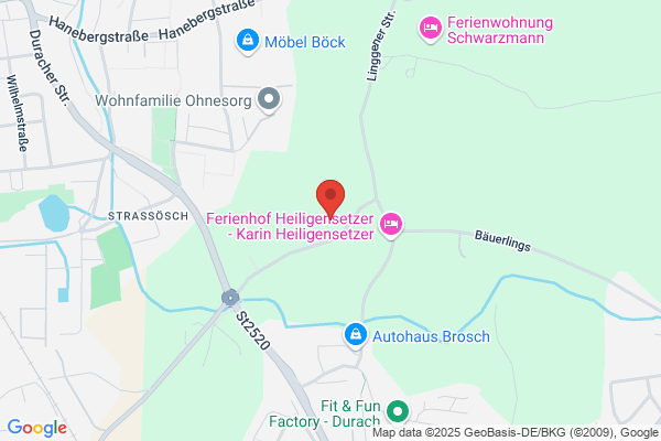 Höllisch Verputz GmbH
