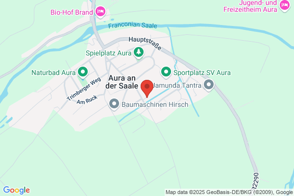 Faschingsverein Aura