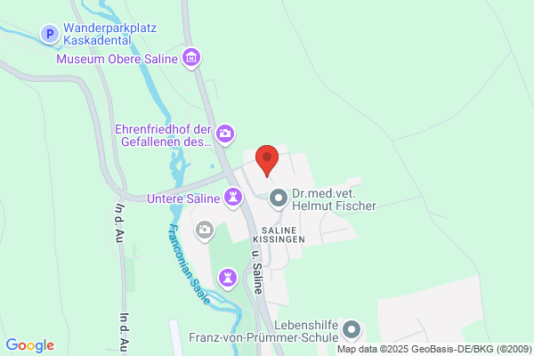 Saale-Kanu-Tour, Kanu-Verleih