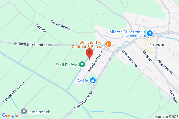 Zink Eisexpress