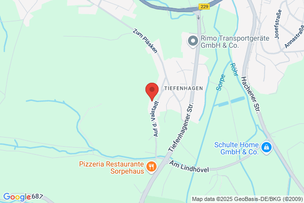 SAUERLAND ENGEL