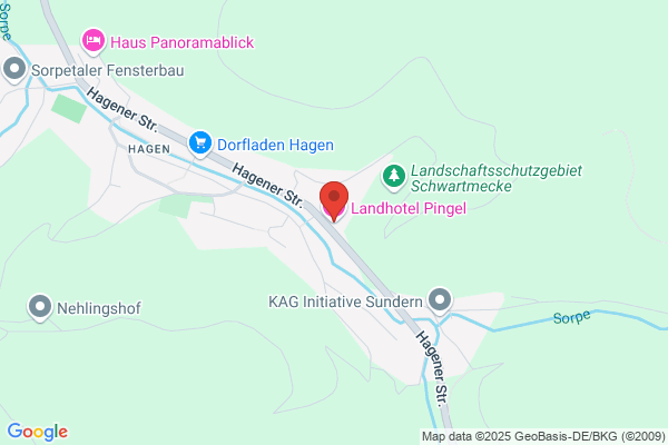 Hotel Pingel