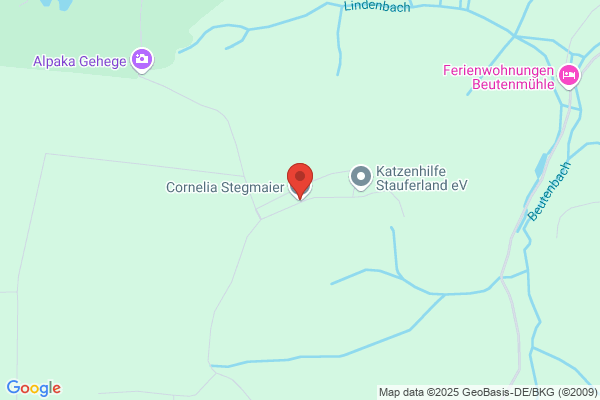 Cäcilia Stegmaier