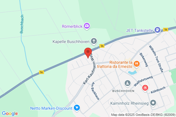 Faszientherapie für Pferde Nadine Ziemann