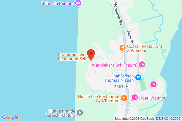 Strandmuschel Hauptstrand