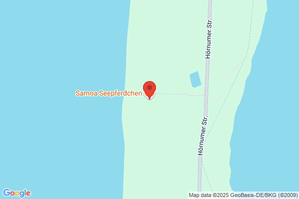Samoa Seepferdchen