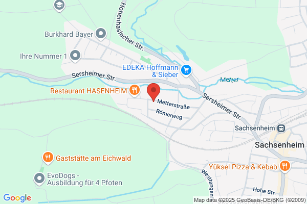 3S Sensor & Service Schmidt GmbH