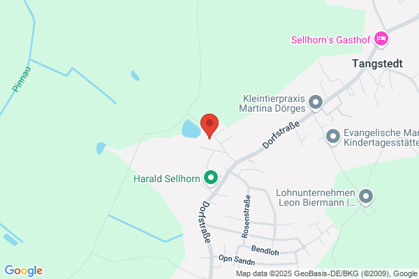 IT Partner - Dipl.-Kfm.C.D.Schwarz