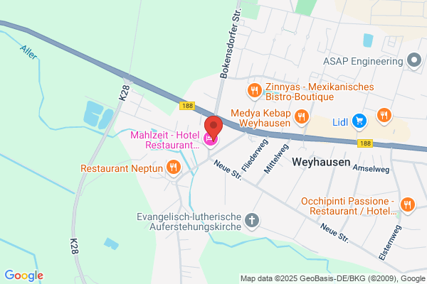 Havaneser Zucht VDH