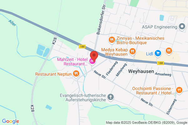 Hundeshop-Ausstattung für Welpen und Hundezubehör