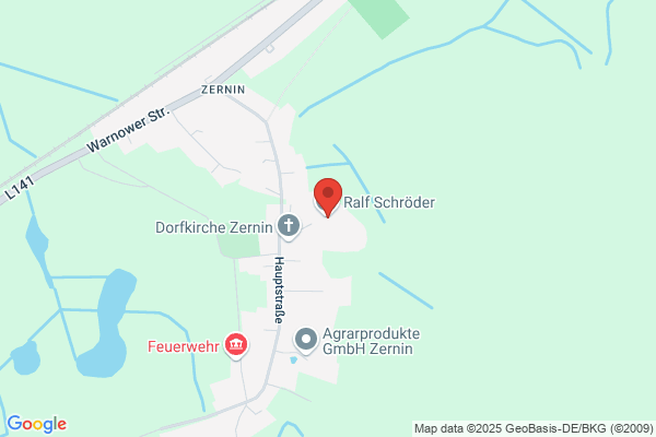 Flamneco Studio Ana Sojor
