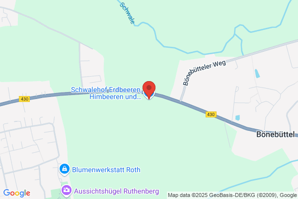 Schwalehof Erdbeeren und