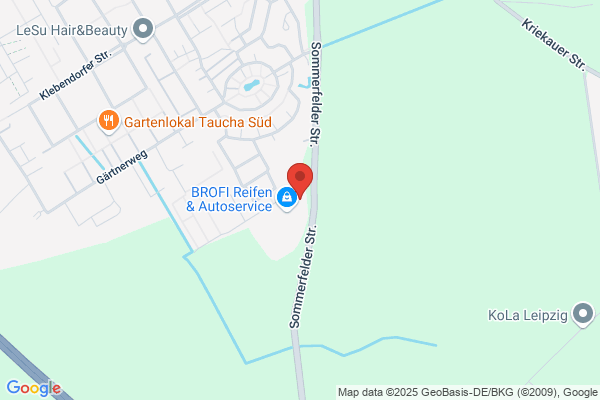 Zakholi Automobile Nutzfahrzeuge Inh. Thamer Zakholi