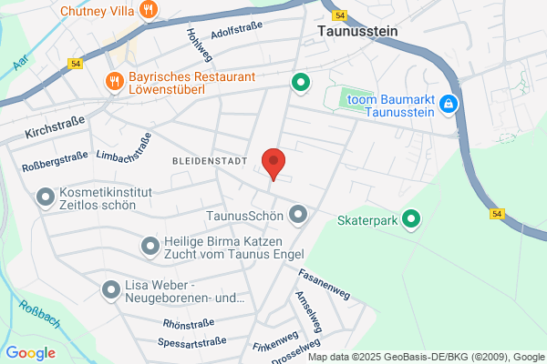 Schneider Bau GmbH
