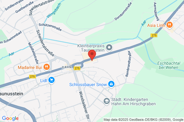 CODENT GmbH