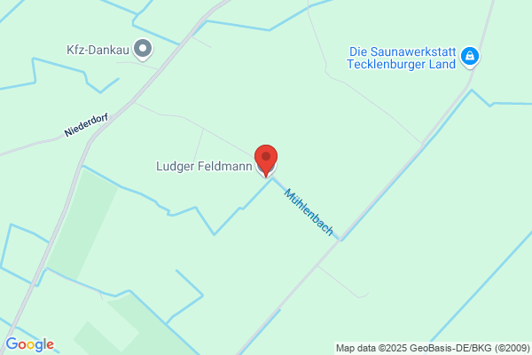 Ludger Feldmann