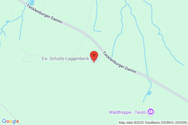 Schulte-Laggenbeck, Ewald