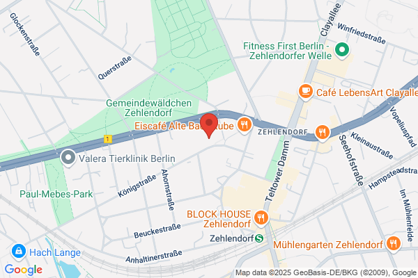 Die Berliner Burschenschaft Arminia