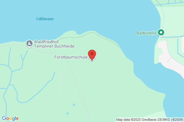 Forstbaumschule