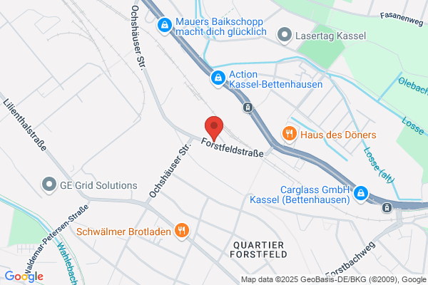 BSL Betreibsmittel Service Logistik GmbH & Co. KG