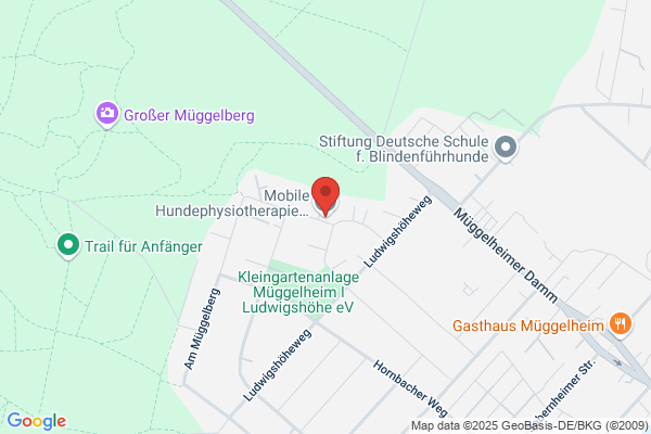Mobile Hundephysiotherapie Berlin