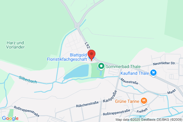 Schnittblumen u. Topfpflanzen Handels GmbH Floristik 99