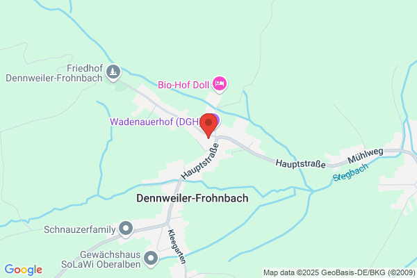 Karl Helfenstein