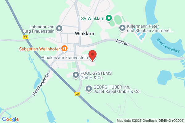 Alpakas am Frauenstein