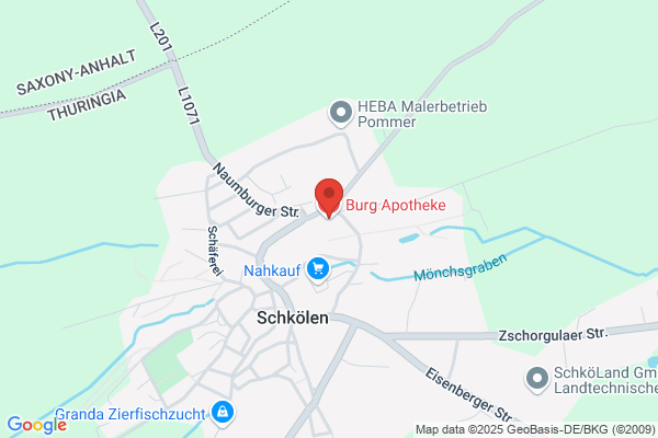 Burg-Apotheke Frank-Peter Schmeier