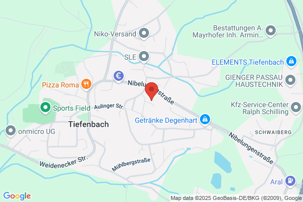 D.I.E. Physiotherapie