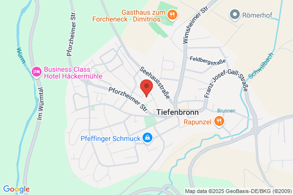 Haus Schauinsland Tiefenbronn