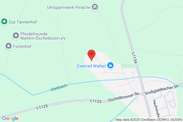 Präzisa Feindrehteile GmbH & Co. KG