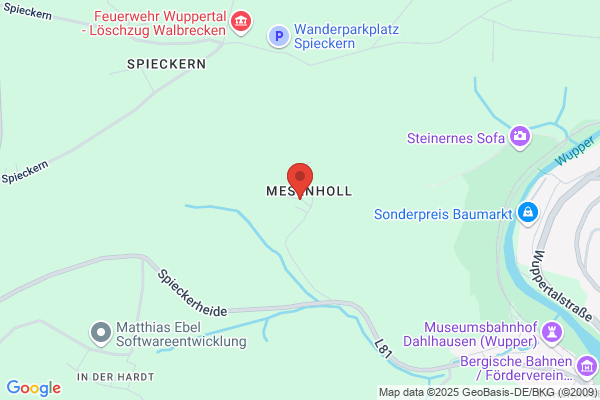 Johannes Mesenholl