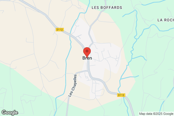 Bären