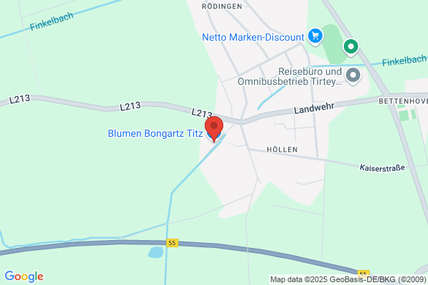 Ludwig Bongartz