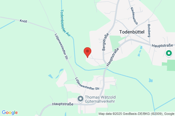 Holger Steen