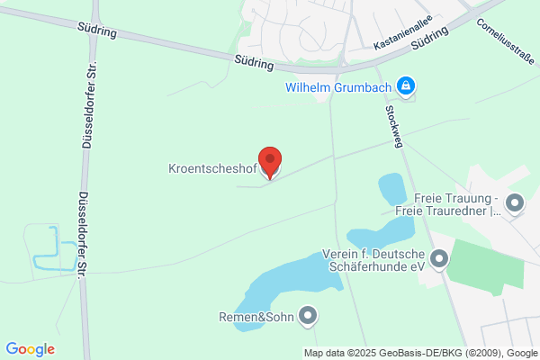 Gotimo Immobilien GmbH