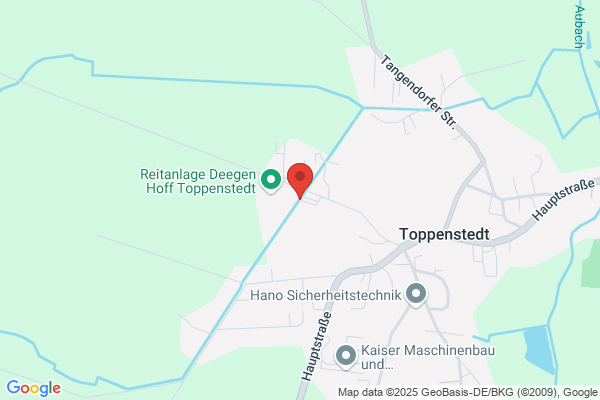 Wiele GmbH