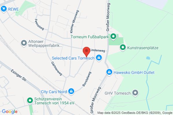 Rapid Autoreparatur