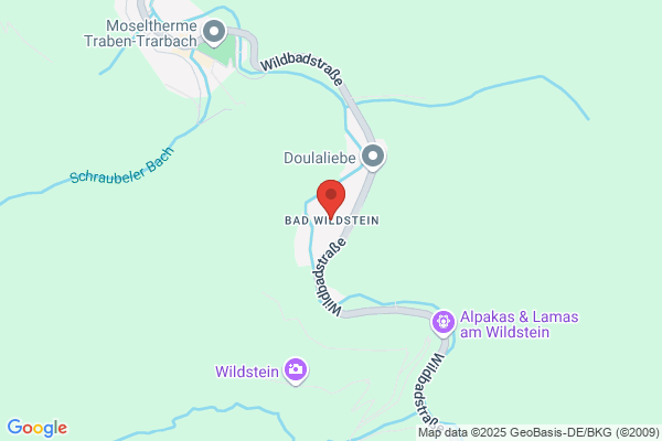 Bad Wildstein