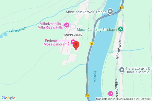Irmtraud Schäfer