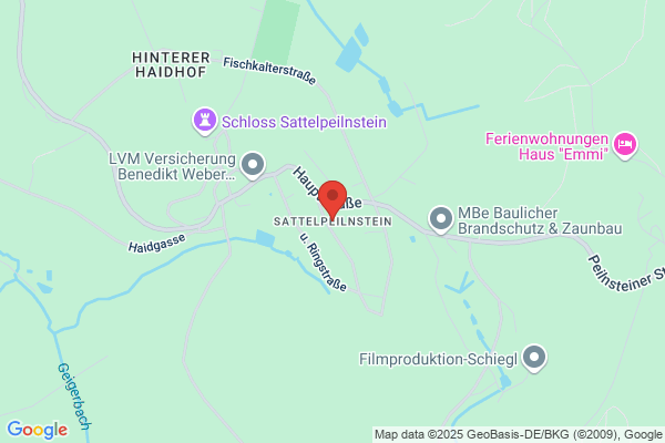 Sattelpeilnstein