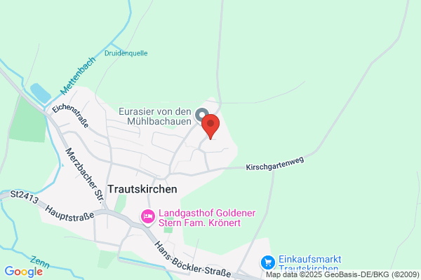 Norbert Rögner