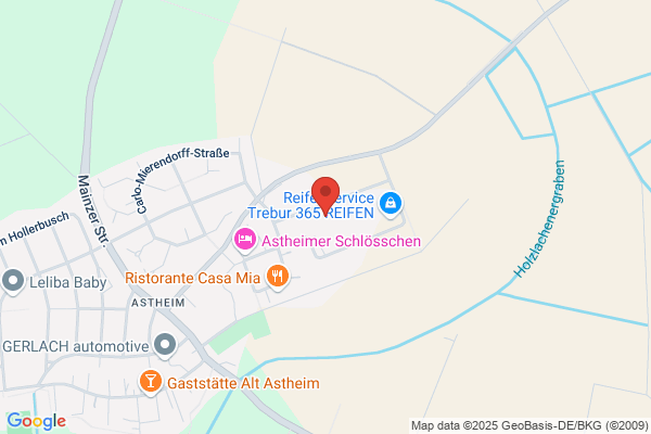 Auto-Buda
