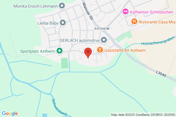 Alarmanlagen, Absicherungen aller Art, Video,Notrufzentrale Remus Tag+Nacht e.K.