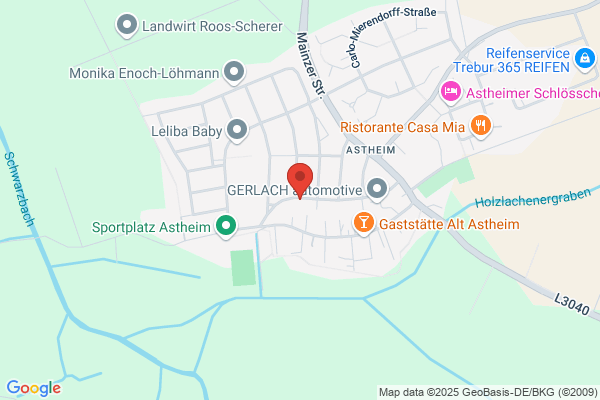 Dipl.Ing. Werner Schleidt